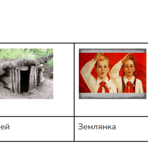 Дневник Коли Синицына, викторина, игра, вопросы по тексту, работа с текстом, задания с ответами