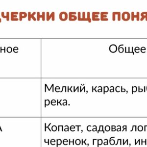 Общее понятие, обобщающее понятие Общее понятие, обобщающее понятие