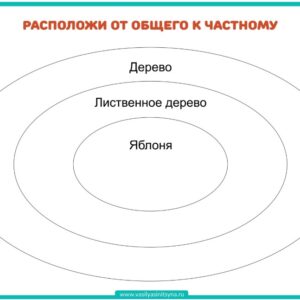 Расположи от общего к частному Расположи от общего к частному