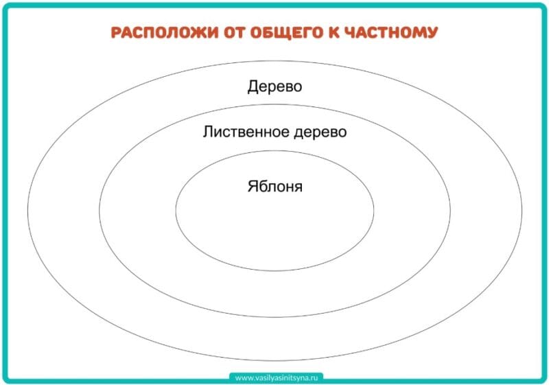 Расположи от общего к частному Расположи от общего к частному