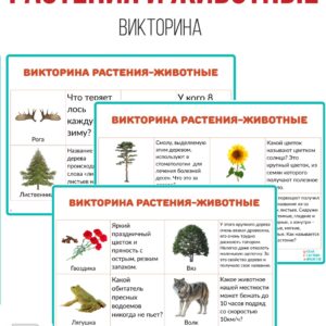 растения и животные, мир животных и растений, вопросы на эрудицию, вопросы на эрудицию с ответами, вопросы о растениях и животных, факты о растениях и животных