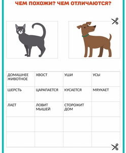 ОПЕРАЦИЯ СРАВНЕНИЕ, развитие мышления