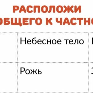 Понятийное мышление Понятийное мышление