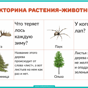 растения и животные, мир животных и растений, вопросы на эрудицию, вопросы на эрудицию с ответами, вопросы о растениях и животных, факты о растениях и животных