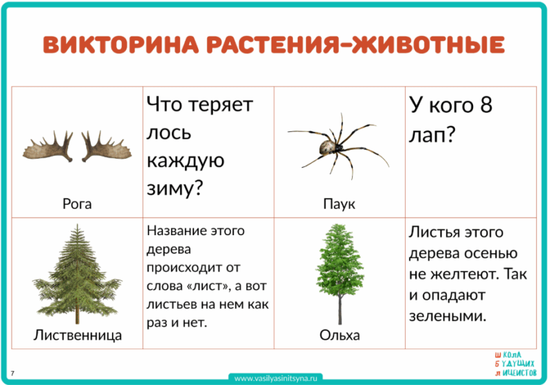 растения и животные, мир животных и растений, вопросы на эрудицию, вопросы на эрудицию с ответами, вопросы о растениях и животных, факты о растениях и животных
