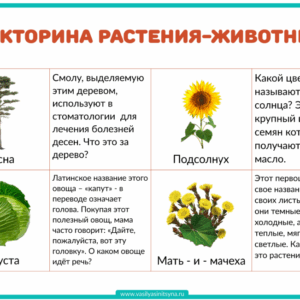 растения и животные, мир животных и растений, вопросы на эрудицию, вопросы на эрудицию с ответами, вопросы о растениях и животных, факты о растениях и животных