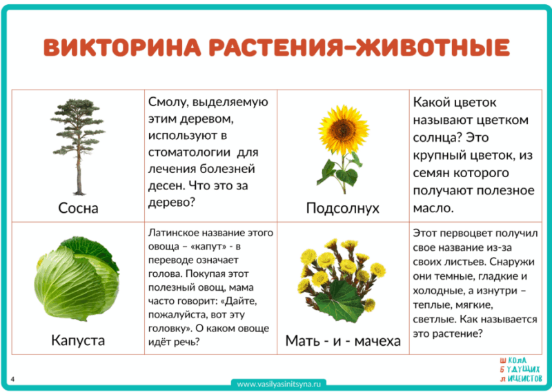 растения и животные, мир животных и растений, вопросы на эрудицию, вопросы на эрудицию с ответами, вопросы о растениях и животных, факты о растениях и животных